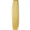 Hair Extensions Etusivu|Hiusnauhat - Aidot Hiuslisäkkeet-Hiusnauha 60cm, luonnonvaalea 613#
